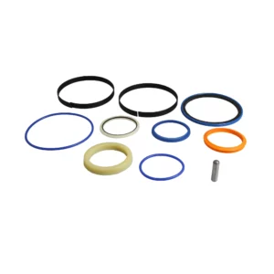 KIT GUARNIZIONI INTS 80x160 JCB REF 991/20026